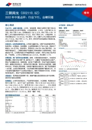 2022年中报点评：行业下行，业绩回落