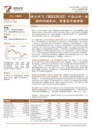 中报点评:短期利润端承压,智慧医疗超预期