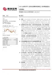 22H1业绩点评:全球化战略持续推进,技术赋能驱动长期增长