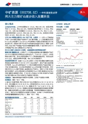 半年度报告点评：两大主力锂矿山逐步进入放量阶段