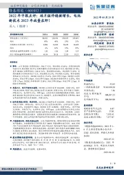 2022年中报点评：硅片组件稳健增长，电池新技术2023年放量在即！