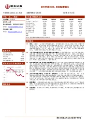 新兴市场潜力尤在,股权激励增强信心