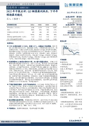 2022年中报点评：Q2铜箔盈利承压，下半年预期盈利稳定