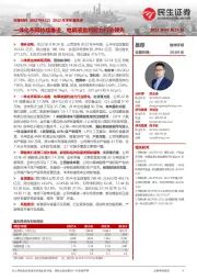 2022年半年报点评:体化布局持续推进,电解液盈利能力行业领先