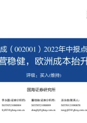 2022年中报点评:高成本下经营稳健,欧洲成本抬升将形成利好