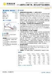 H1业绩同比小幅下滑，新兴业务产品加速落地