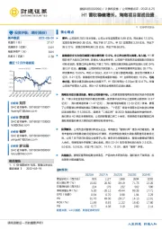 H1营收稳健增长，海南项目首战告捷