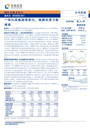 一体化战略持续深化,规模优势不断增强