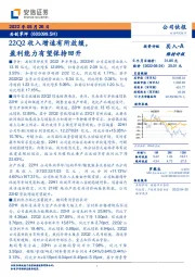 22Q2收入增速有所放缓，盈利能力有望保持回升