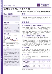 公司事件点评报告：业绩符合预期，下半年可期