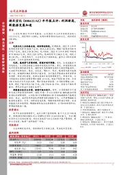 半年报点评：利润新高，新能源发展加速