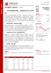 半年报业绩符合预期,加速拓展民用及大众市场