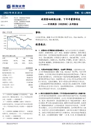 点评报告:疫情影响短期业绩,下半年蓄势待发