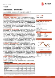 2022年半年报点评：业绩符合预期，静待未来复苏