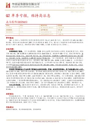 Q2单季亏损,维持高派息