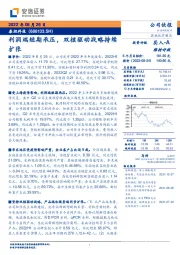 利润端短期承压,双核驱动战略持续扩张