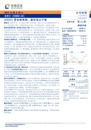 2022H1营收超预期，盈利拐点可期