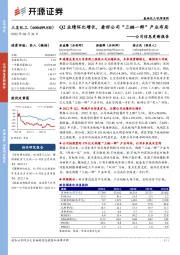 公司信息更新报告：Q2业绩环比增长，看好公司“三链一群”产业布局