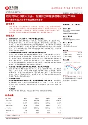 光华科技2022半年度业绩点评报告：锂电材料已成核心业务，构建回收和锰铁锂等正极生产体系