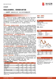 2022年半年报点评：常规业务高增长，新领域布局可期