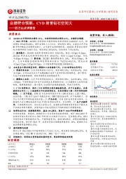 四方达点评报告:业绩符合预期,CVD培育钻石空间大
