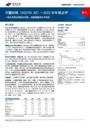 2022半年报点评：一体化布局加深成本优势，电解液盈利水平良好