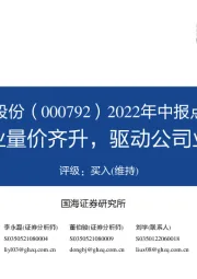 2022年中报点评：钾锂主业量价齐升，驱动公司业绩高增