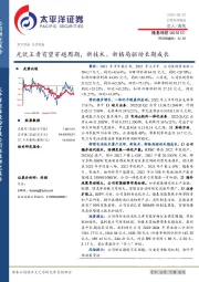 光伏王者有望穿越周期，新技术、新格局驱动长期成长