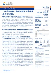 中报符合预期，物联网创新业务持续驱动内生增长