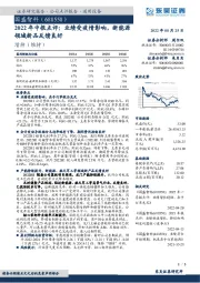 2022年中报点评：业绩受疫情影响，新能源领域新品反馈良好