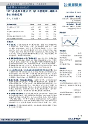 2022半年报业绩点评：Q2业绩靓丽，储能业务打开新空间