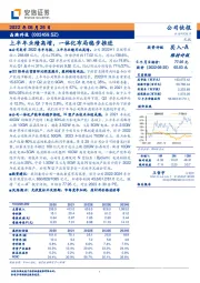 上半年业绩高增,一体化布局稳步推进