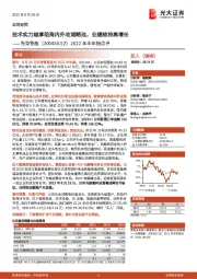 2022年半年报点评：技术实力雄厚助海内外攻城略池，业绩维持高增长