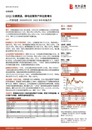 2022年半年报点评:22Q2业绩提速,绿电运营资产两位数增长