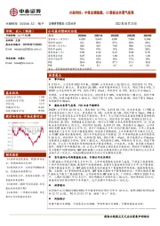 兴森科技：中报业绩稳健，IC载板业务景气度高