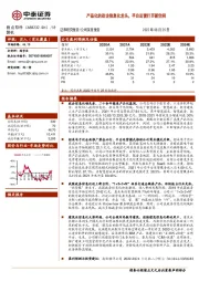 产品化的政企信息化龙头，平台运营打开新空间
