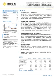 H1业绩同比高增长，盈利能力强劲