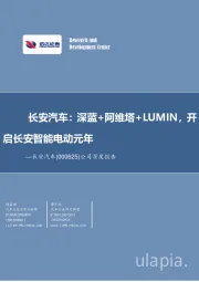 公司深度报告:长安汽车:深蓝+阿维塔+LUMIN,开启长安智能电动元年