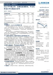 2022年中报点评：业绩受疫情影响，平台化布局打开长期成长空间