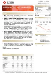 疫情影响收入增速，新安全仍呈快速增长