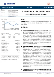 点评报告：大B拖累业绩表现，看好下半年恢复性增长