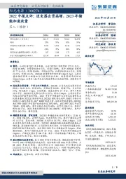 2022中报点评：逆变器出货高增，2023年储能加速放量