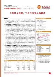 中报符合预期,下半年有望大幅提速