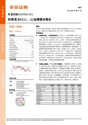 持续发力MCU，Q2业绩稳步增长