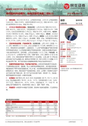 2022年半年度点评:单吨盈利持续提升,钠电正极带来第二增长力