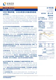 22Q2增速回暖，云化和服务化战略持续推进
