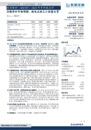 业绩符合市场预期,钠电正极已小批量出货