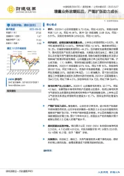 增量业务放缓延后，产能扩张助力成长