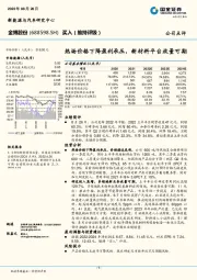 热场价格下降盈利承压，新材料平台放量可期