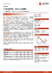 2022年半年报点评：Q2营收高速增长，海外收入实现翻倍